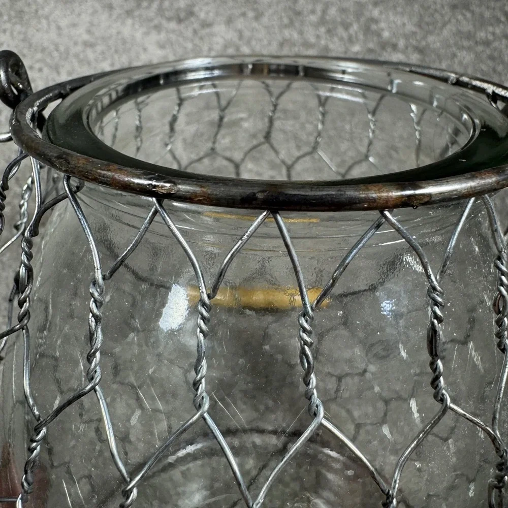 Lantern Cloche Clear Glass Chicken Wire Wood Handle Farmhouse Decor